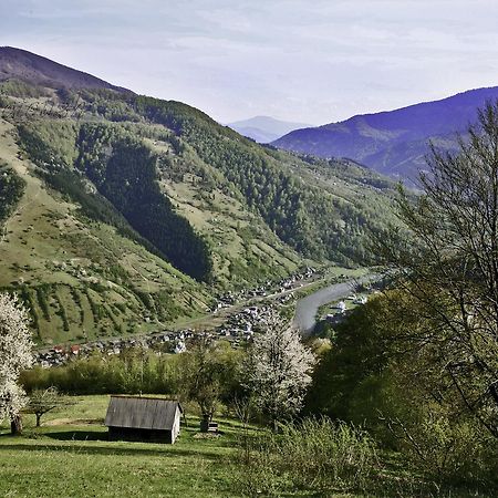 Dream Hostel Carpathians Rakhiv Eksteriør billede