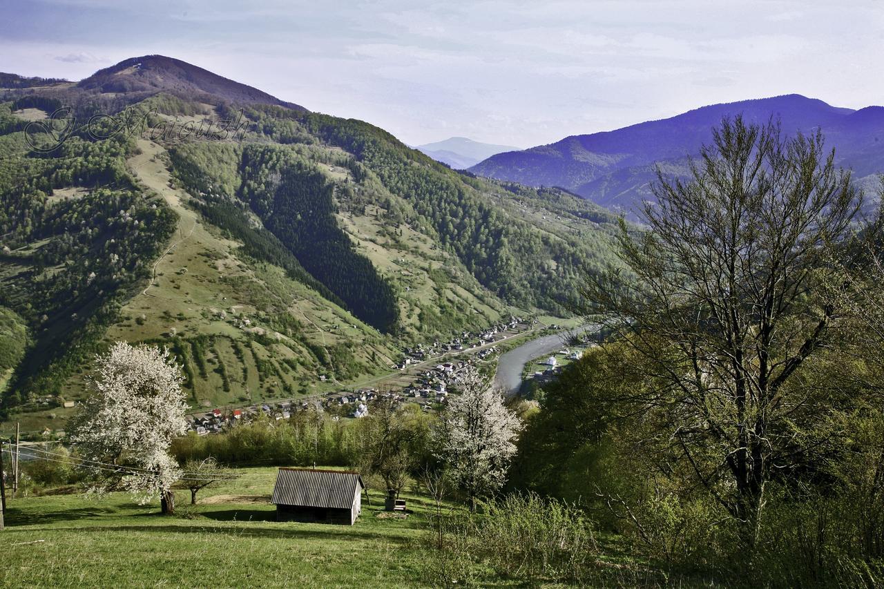Dream Hostel Carpathians Rakhiv Eksteriør billede